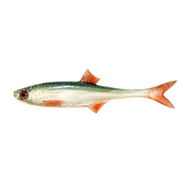 Gumová nástraha ANGRY Bleak F-Tail 15 NOO - 15 cm