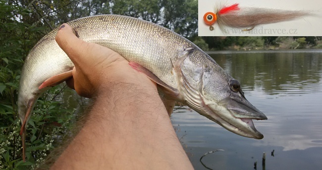 Jigstreamer BULDA 81