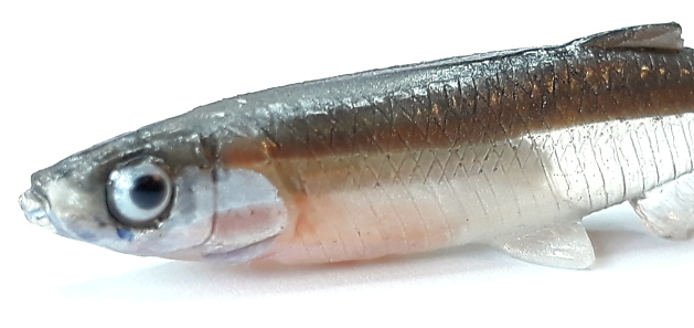 Gumová nástraha NEW SMELT FISH R 12 cm