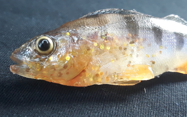 Gumová nástraha Okoun GOLD GLITTER 9,5 cm