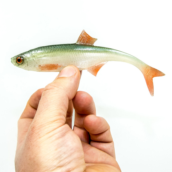 Gumová nástraha ANGRY Bleak F-Tail 15 NOO - 15 cm