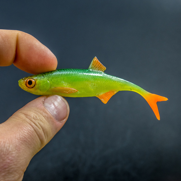 Gumová nástraha ANGRY Bleak FT 10 GYO  - 10 cm