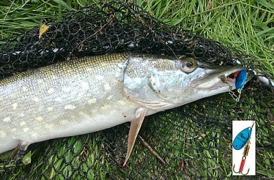 Rotační třpytka MEPPS 0 - modrá