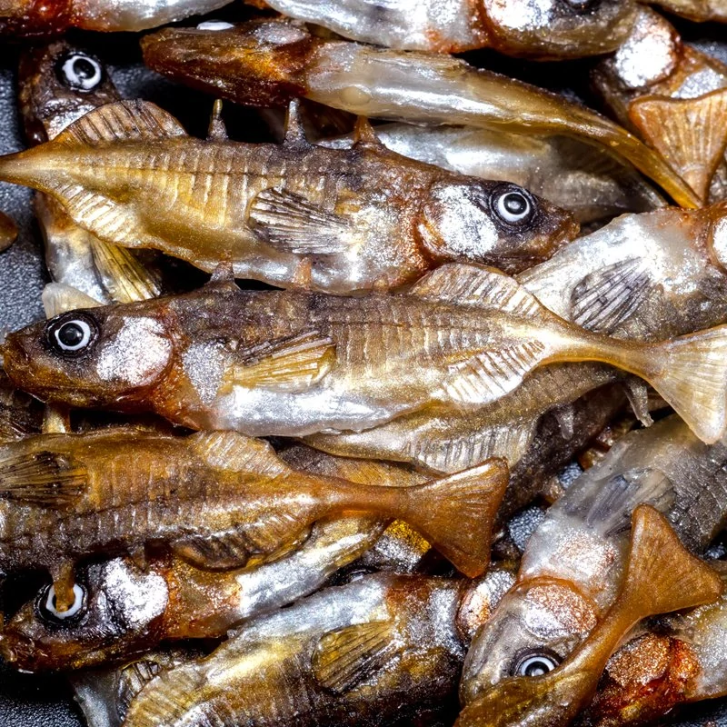 Gumová nástraha ANGRY Stickleback F-Tail 6DB  - 6 cm