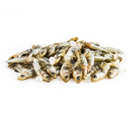 Gumová nástraha ANGRY Stickleback 6N - 6 cm