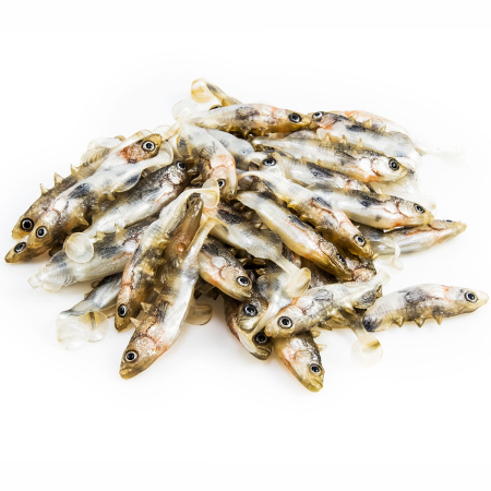 Gumová nástraha ANGRY Stickleback 6N - 6 cm