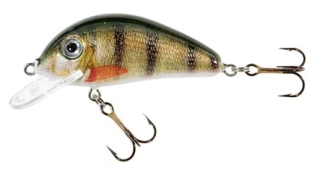 Wobler Jaxon GOLBAT F 2,5 g - 35 mm/0,4 - 0,8 m - VJ-GB035FJN