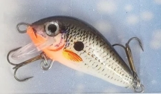 Wobler Jaxon GOLBAT F 2,5 g - 35 mm/0,4 - 0,8 m - VJ-GB035FDA